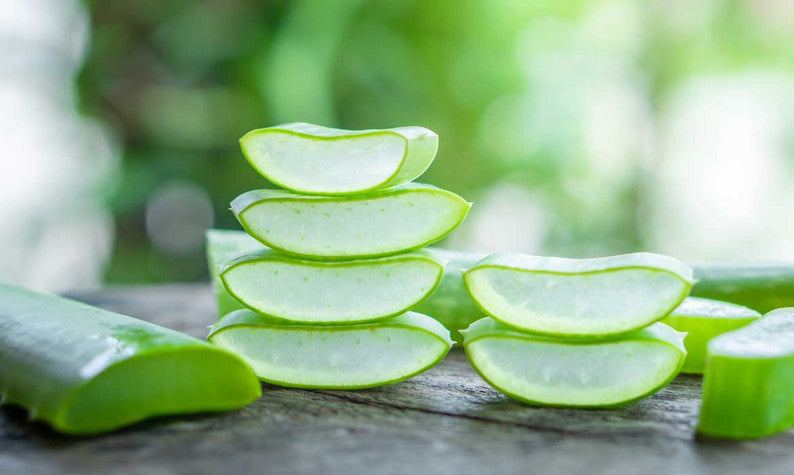 What is Aloe? Benefits and Uses