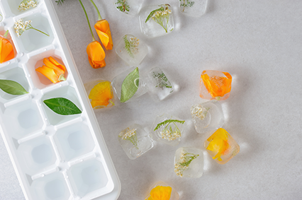 Consider storing Aloe Gel in the Freezer.
