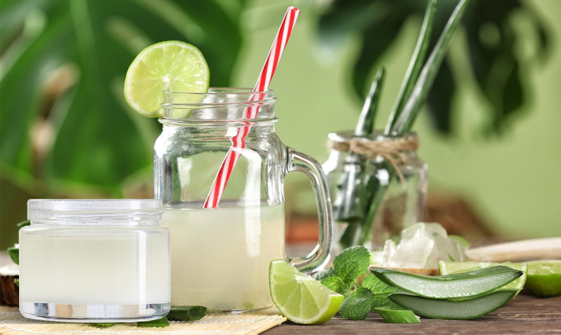 Aloe Vera Gel vs. Aloe Vera Juice: Which is Right for You?