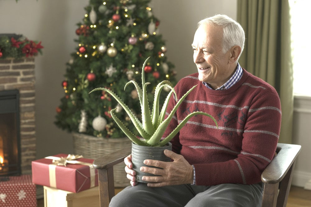 The Best Aloe Gifts for Grandparents This Christmas