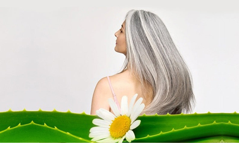What Will  Aloe Vera Shampoo and Conditioner Do for Your Hair?