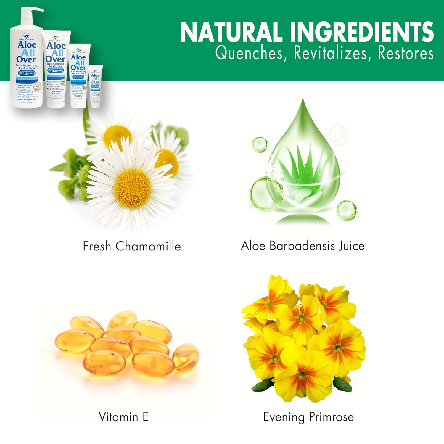 Aloe All Over Ingredients 