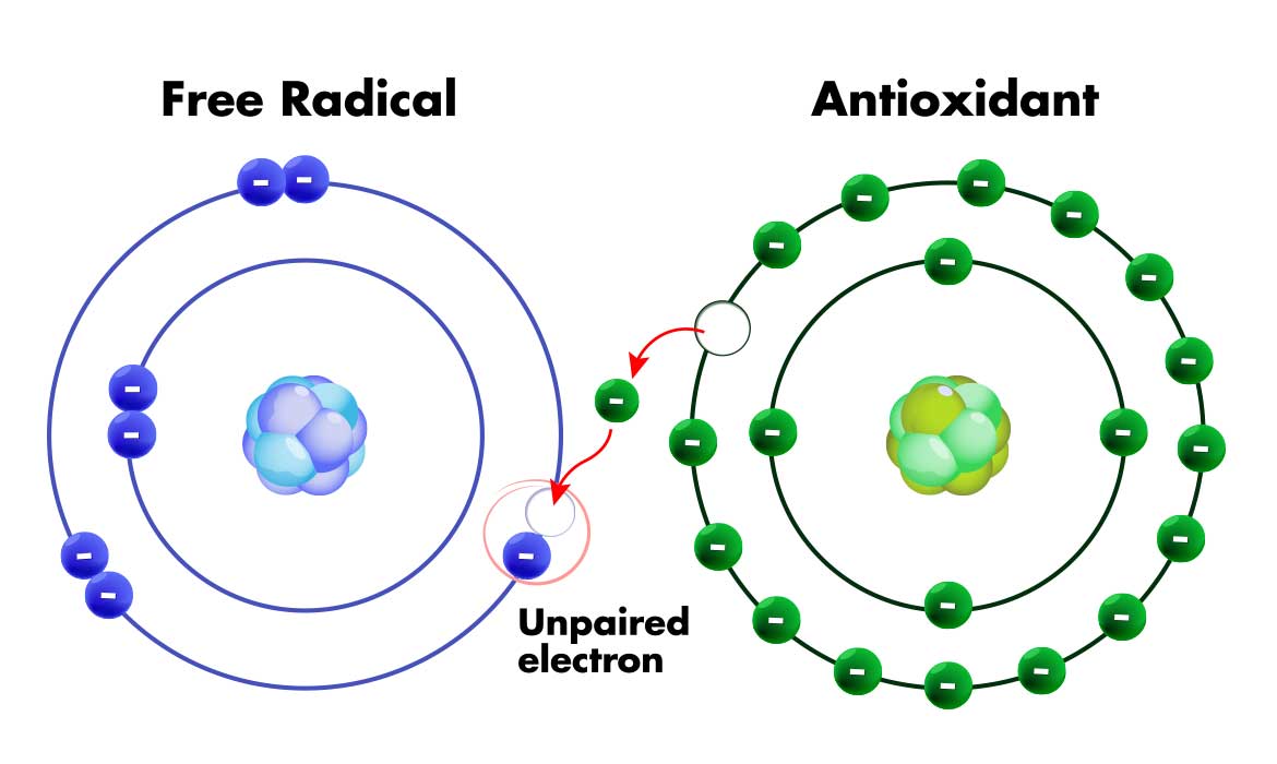 examples-of-free-radicals-free-radicals-these-examples-are-from